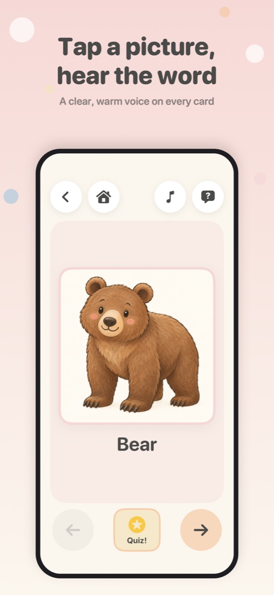 A bear flashcard